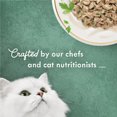 thumbnail image 3 of Purina Fancy Feast Medleys Kitten Food Wet Cat Food Chicken Florentine & Spinach 3 oz Can (Pack of 9), 3 of 6