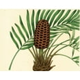 thumbnail image 2 of Alexander, Zachary 18x15 White Modern Wood Framed Museum Art Print Titled - Palmetto III, 2 of 4