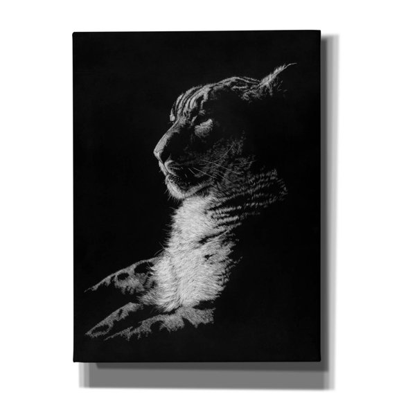 Epic Graffiti 'Radiant Phantom' by Barbara Keith, Canvas Wall Art, 12"x16"