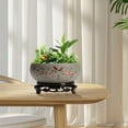 thumbnail image 4 of Lotus Bowl Planter, Chinese Ceramic Lotus Flower Bowl with Stand Base, Hydroponic Water Lily Bowl Planter Indoor, Oriental Fish Tank Bowl for Lotus Flowers Indoor, 4 of 7