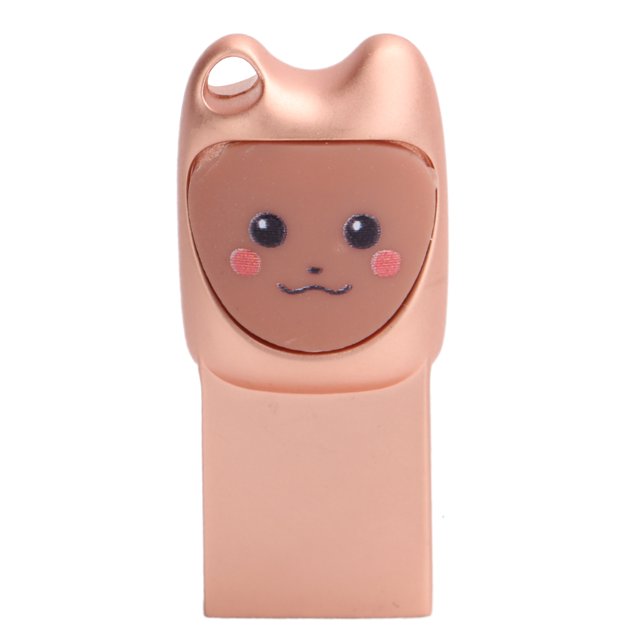 Unidad Unidad flash USB 2.0 portátil Transmisión de alta velocidad Lindo Memory Stick Novedad Regalo Plug and Play (64GBComputers Fyydes Descripción de la referencia