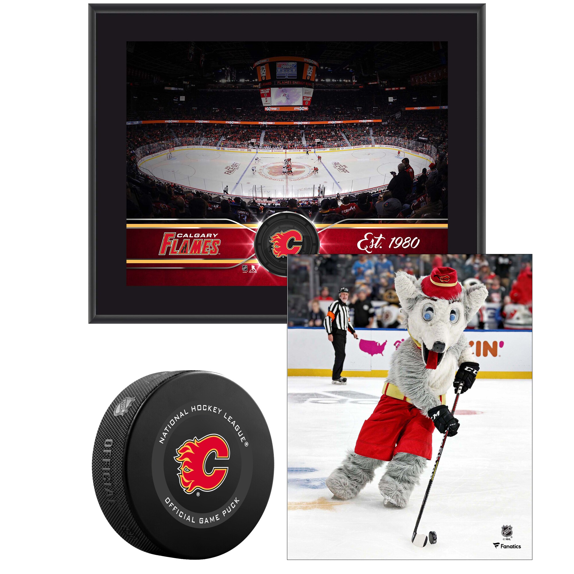 Calgary Flames Young Collectors Bundle Includes Team Stadium 10.5" x