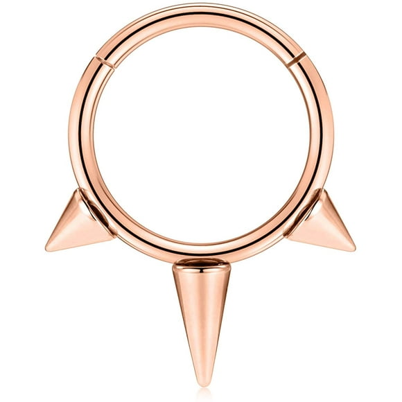 FFIY Septum Jewelry 16G Septum Ring Septum Piercing Unique Design Daith Piercing Jewelry 316L Surgical Steel Clicker HOPP Segment Hinged Nose Rings Hoop Cartlidge Helix Rook Earrings