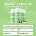 thumbnail image 2 of Celebrate Vitamins Calcium Plus 500 Chewable Tablets, 500 mg Calcium Citrate with Vitamin D3, Cherry Tart, 270 count, 2 of 5