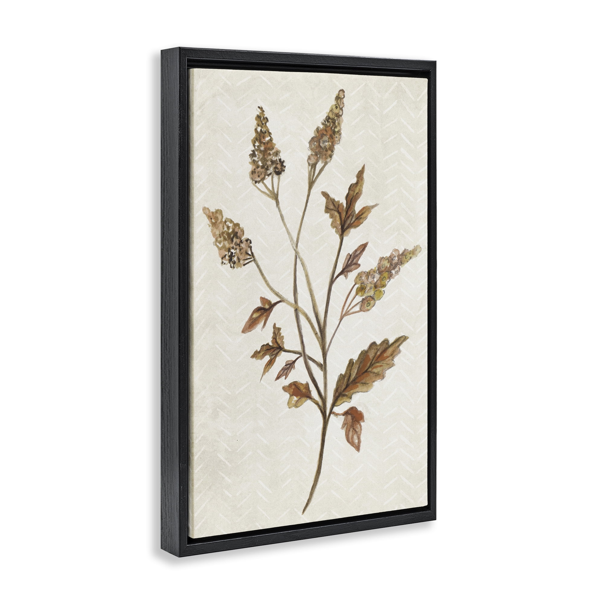 Stupell Industries Neutral Garden Botanics Botanical & Floral Painting Black Floater Framed Canvas Art Print Wall Art, 17 x 25