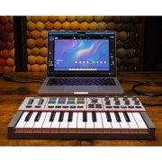 Akai Professional MPK Mini 4 25-Key MIDI Keyboard Controller Grey with Monitors & Headphones Package
