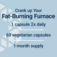 thumbnail image 5 of Life Extension 7-Keto® DHEA Metabolite, 100 mg - For Weight Management & Hormone Balance - Gluten Free, Non-GMO - 60 Vegetarian Capsules, 5 of 10
