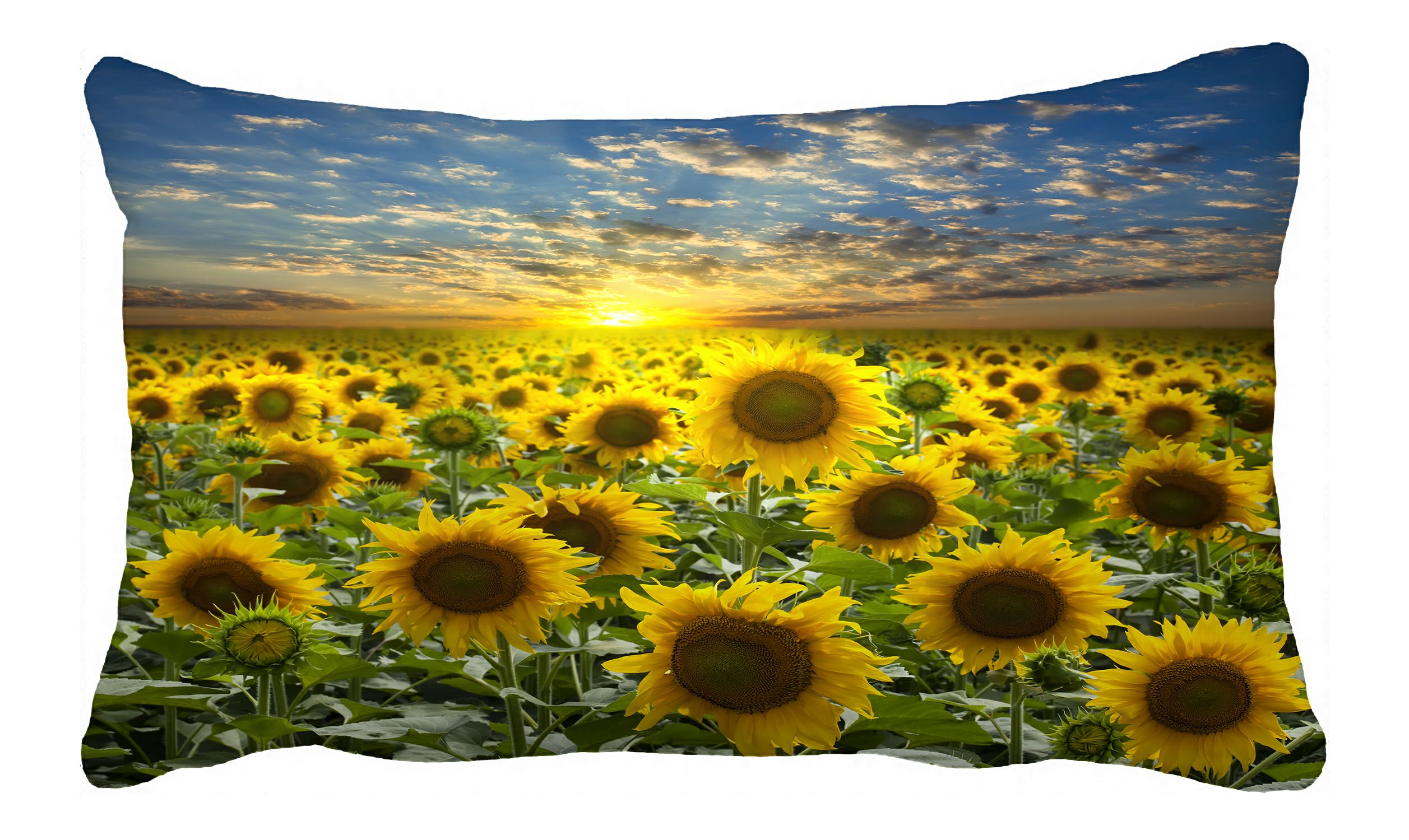 PHFZK Beautiful Sky Cloud Pillow Case, Nature Art Sunflower Field