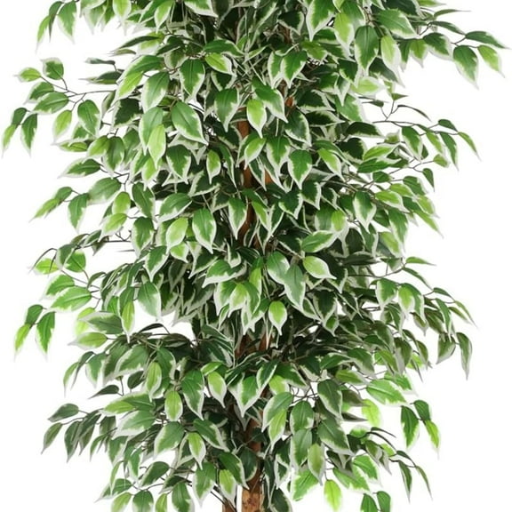 6ft Artificial Tree Ficus, Tall Faux Trees Indoor with Natural Trunk and Fake Silk Tree Fake Plants for Home Winter Decor Living Room Outdoor Balcony House Office (Included Dried Moss)