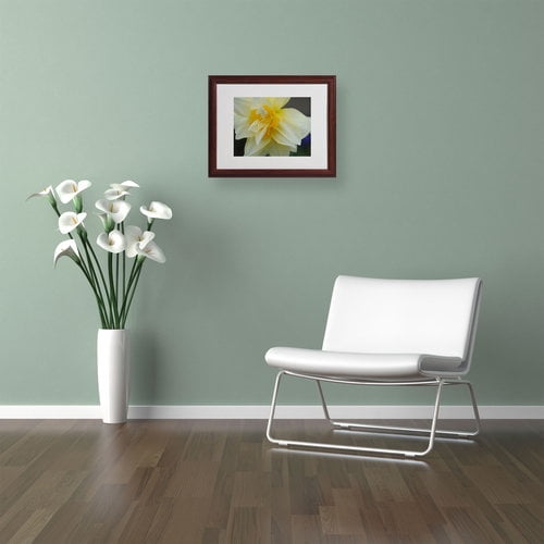 Trademark Fine Art "Sparkling Truth" by Monica Fleet, Wood Frame