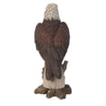 thumbnail image 4 of Águila calva decorativa en tocón, poliresina Hi-Line Gift Ltd., 4 of 5