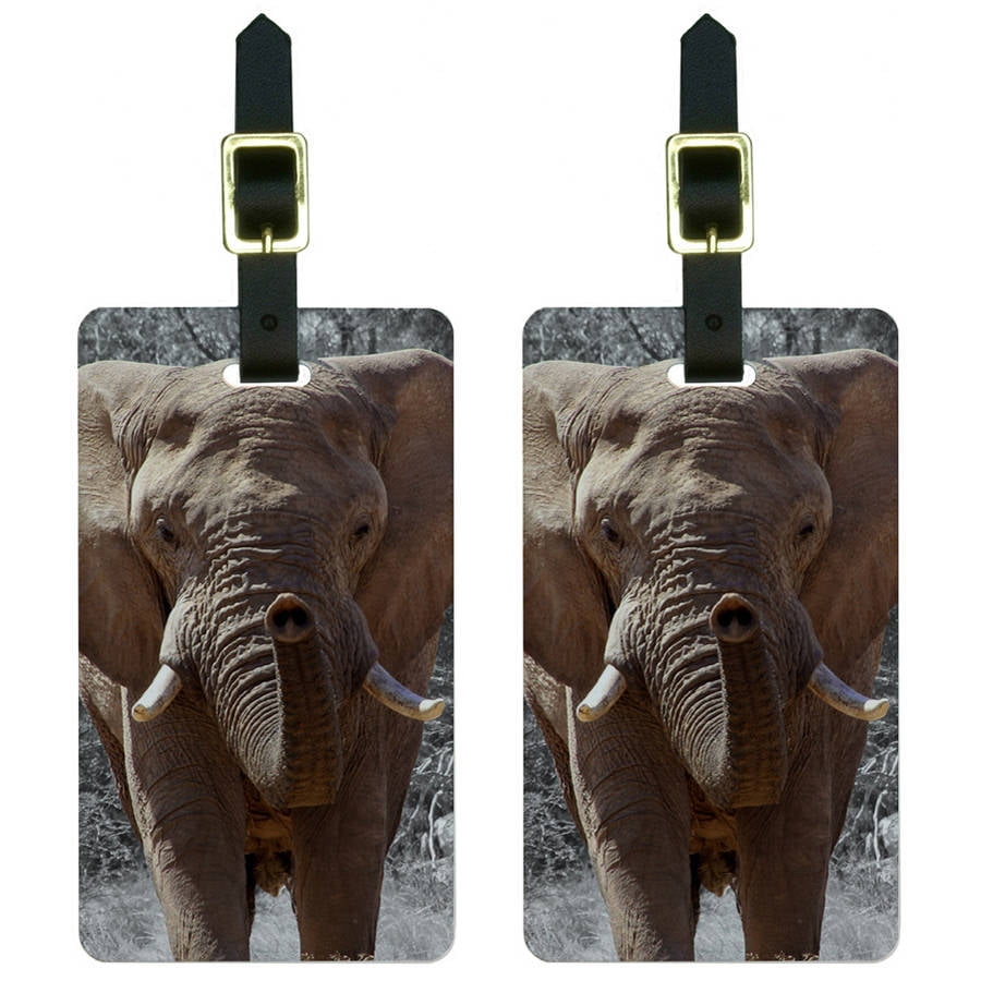Africa African Elephant Luggage Tags Suitcase CarryOn ID, Set of 2