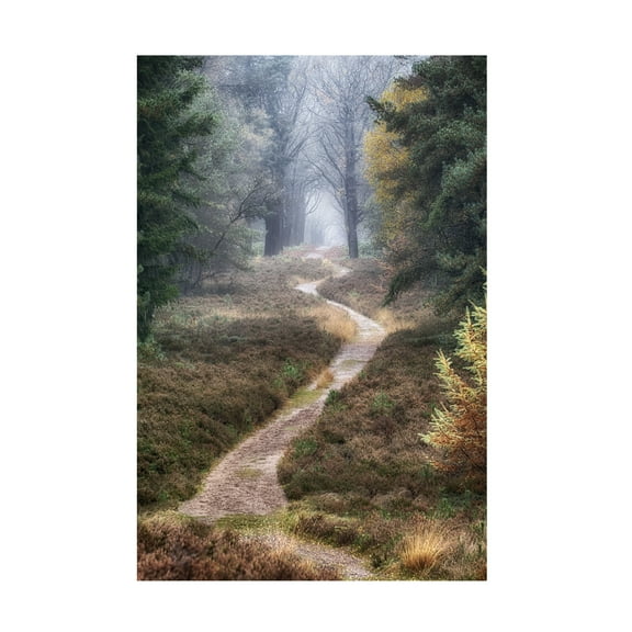 Trademark Fine Art Cora Niele Hiking Trail Canvas Wall Art - 30x47