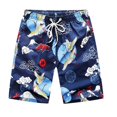 thumbnail image 1 of Pantalones cortos de playa informales con estampado Digital 3D para hombre, pantalones cortos de secado rápido a la moda para verano, parque de viajes, correr y deportes, natación Fivean unisex, 1 of 2
