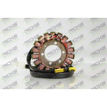 Ricks Motorsport Electric - 21-109 - Stator