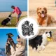 thumbnail image 5 of [ Correas De Cadena For Perros Correas De Cadena For Perros, 5 of 8