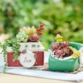 thumbnail image 3 of 1Pc Artificial Succulents Hanging Plants, Fake String of Pearls Greenery Plants Decoration for Wall, Home,Garden,Indoor and Outdoor, 3 of 6