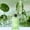 Green, variant on Long Lasting Scented Toilette Perfume for Diffuser, Fragrance Oil Refill for Home Aromatherapy, Air Freshener for Kitchen Bedroom Bathroom, Aromatic Essential Oil, Deodorizer, Purifier, Relaxing