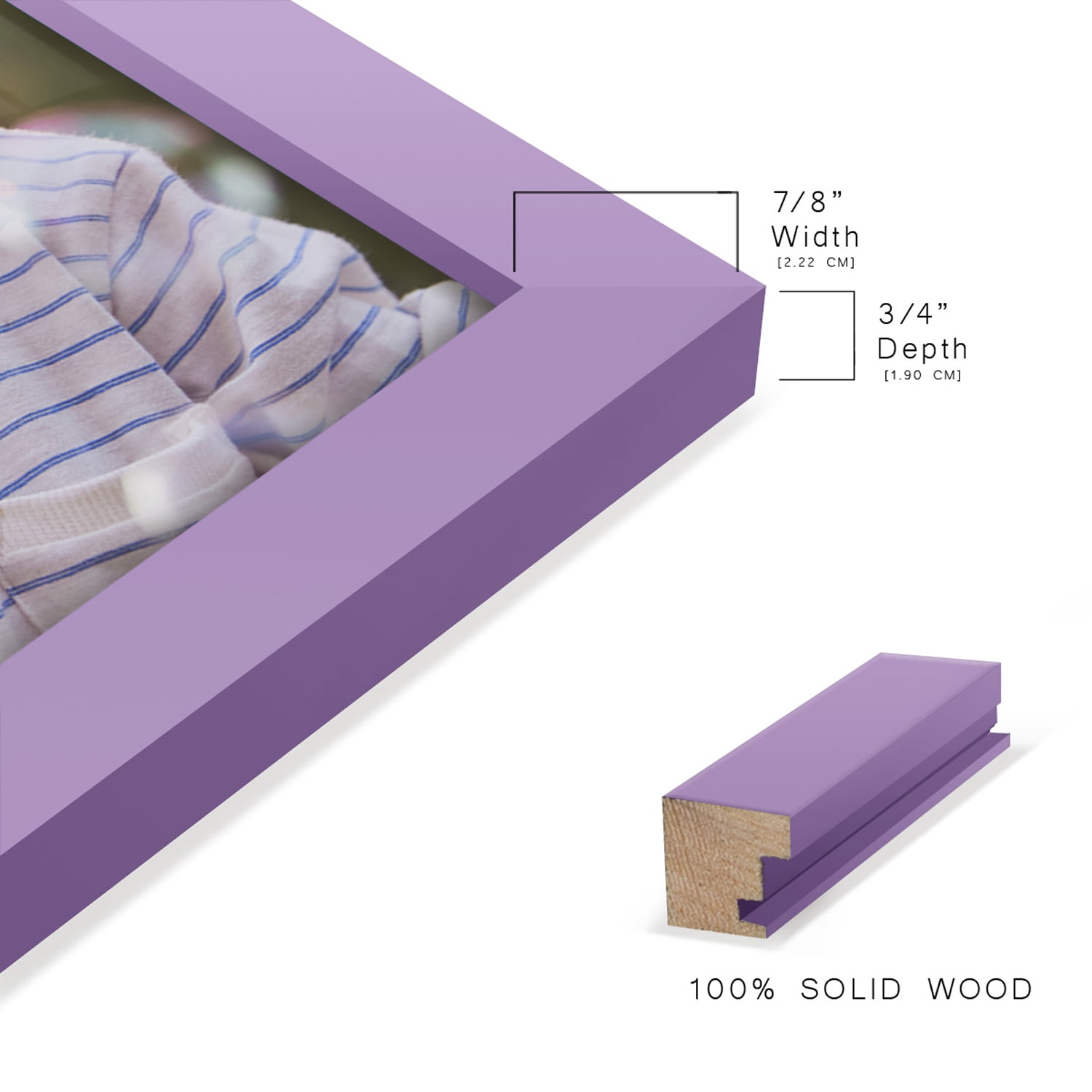 Modern 11 in. x 14 in. Violet Picture Frame (Set of 2)