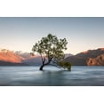 thumbnail image 2 of Schaarschmidt, Christoph 18x13 Gold Ornate Wood Framed with Double Matting Museum Art Print Titled - wanaka tree, 2 of 4