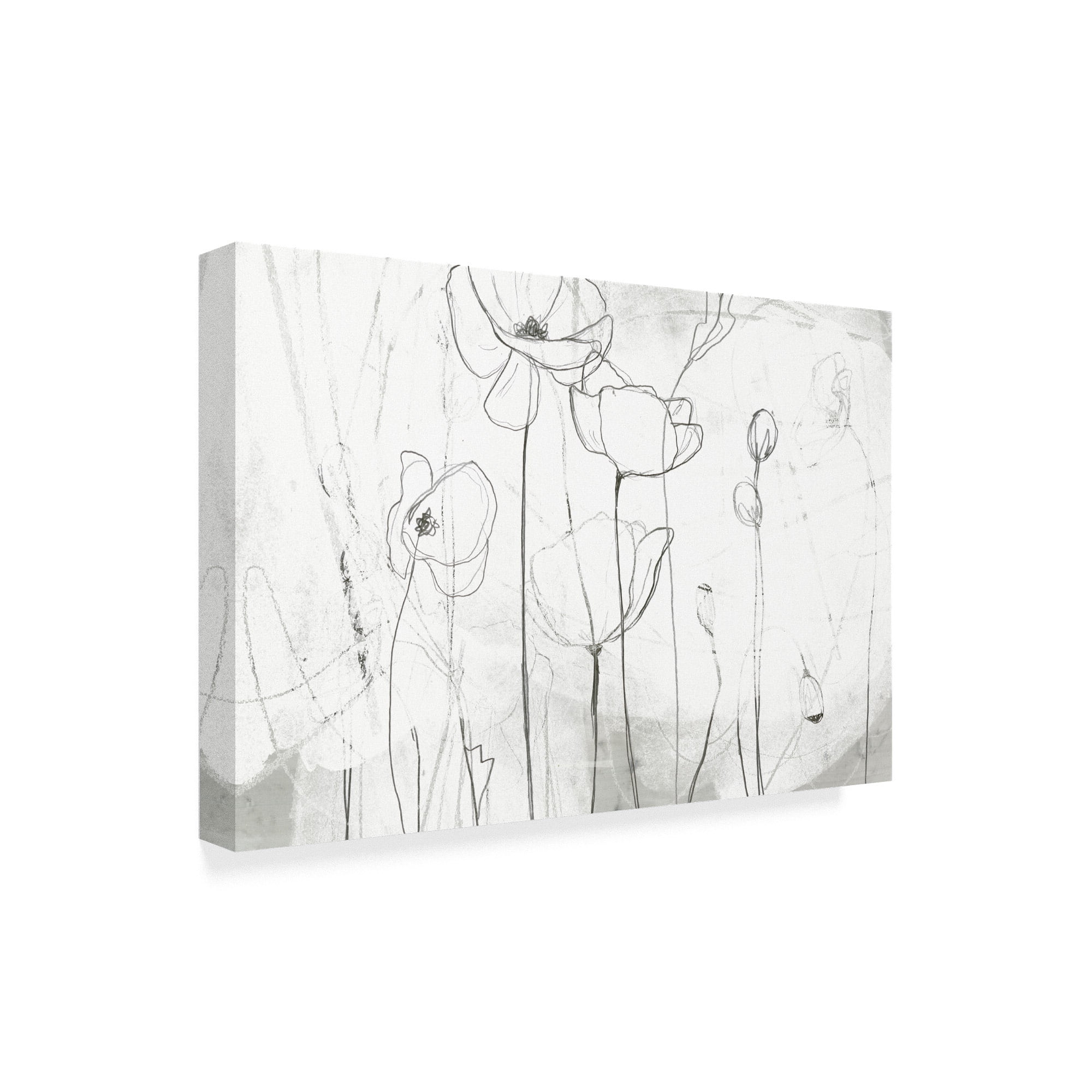 Trademark Fine Art 'Poppy Sketches I' Canvas Art by June Erica Vess