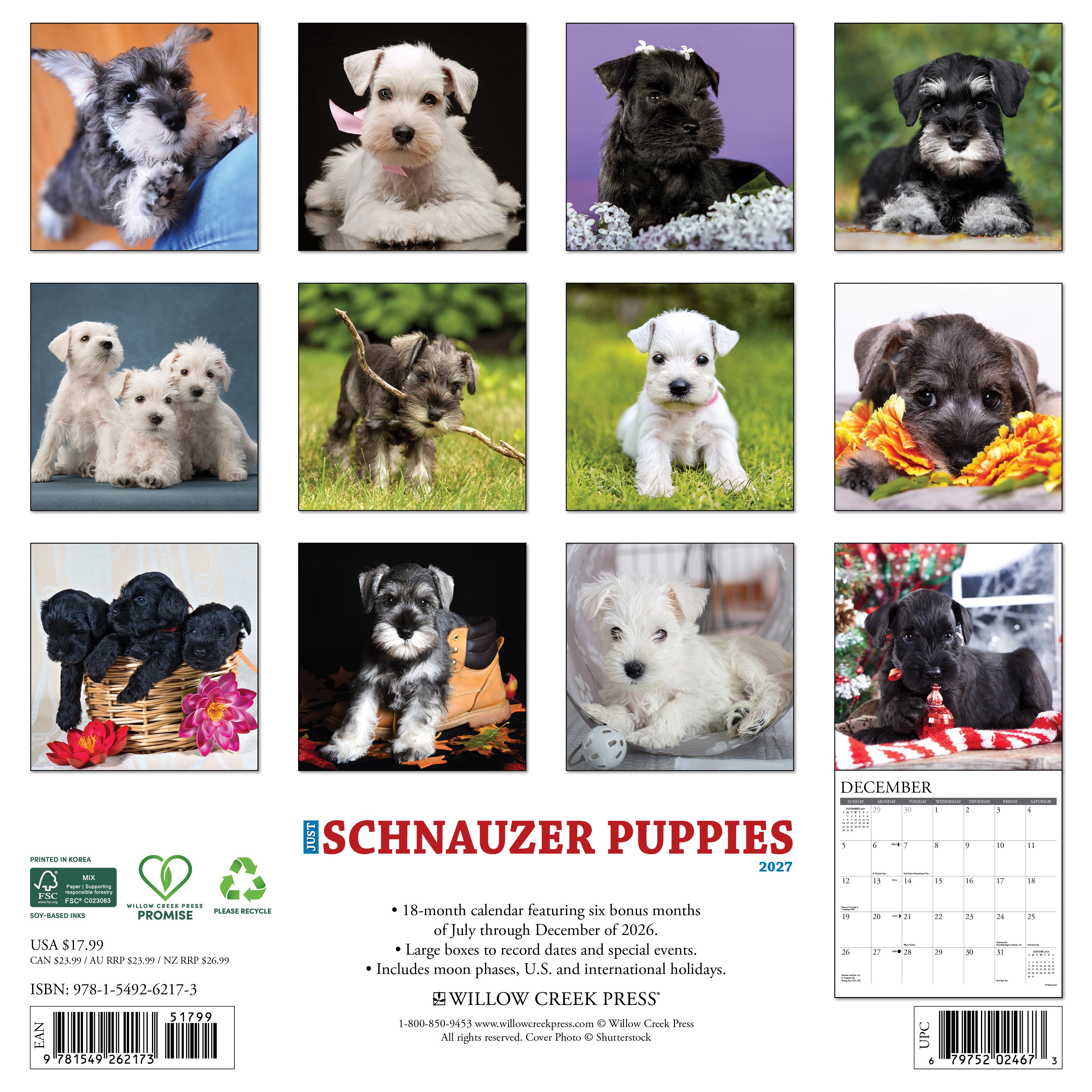 Willow Creek Press, Schnauzer Puppies 2027 Wall Calendar