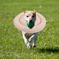 thumbnail image 4 of UPOUART large Dog Donut Collar Dog Cone Recovery Collar Multi 1Pack, 4 of 7