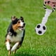 thumbnail image 2 of KAKOWELY Juguetes para perros, juguete masticable para cachorros, juguete creativo con chirrido, pelota de juguete para mascotas, juguete interactivo para mascotas, 2 of 4