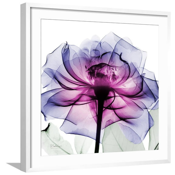 Leni Rose 2 Framed Art Print by Albert Koetsier, 24" x 24", Sold by Art.com