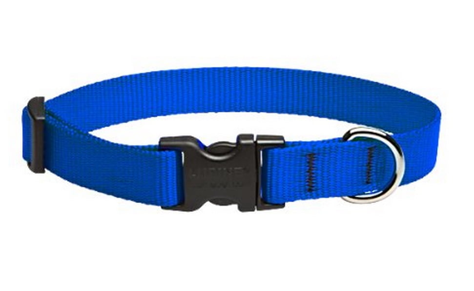 Lupine 17501 Adjustable Dog Collar, Blue, 9"x14"