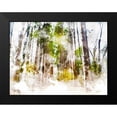 thumbnail image 2 of Young, Chamira 14x12 Black Modern Framed Museum Art Print Titled - Forest Road II, 2 of 5