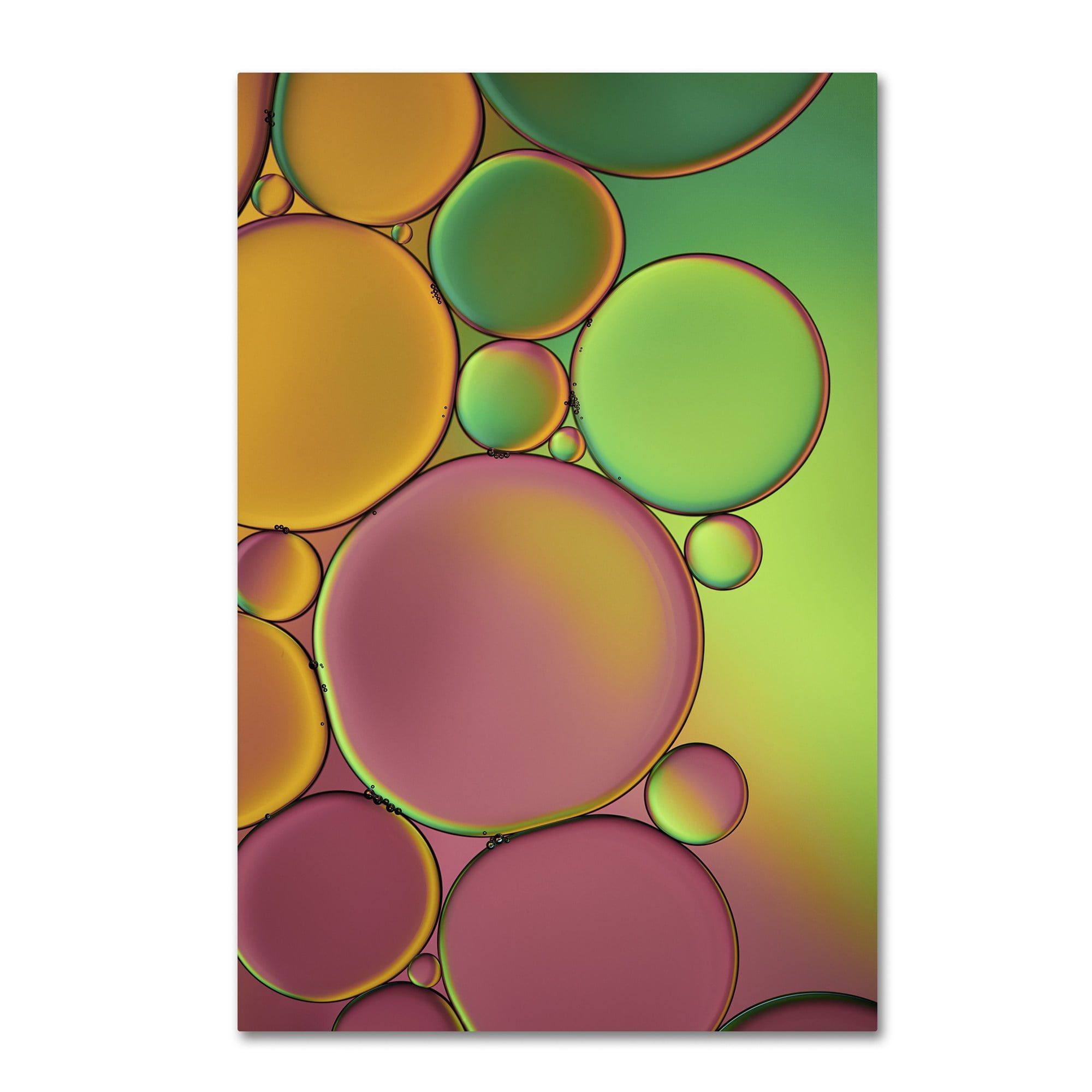 Trademark Fine Art 'Green and Orange Drops' Canvas Art by Cora Niele