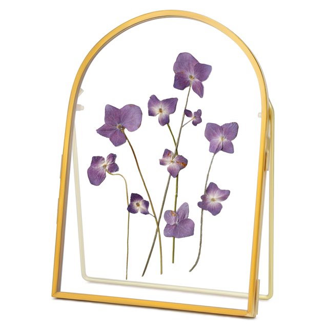 Marco de prensa para flores REDHUGO, doble vidrio, latón, 5 x 7 pulgadas, dorado