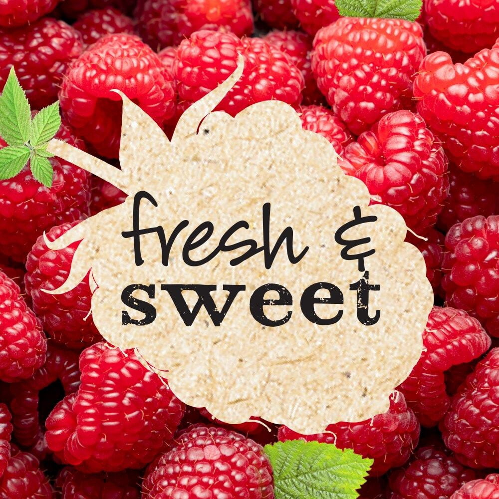 KR Sugar Free Raspberry Preserves 13 oz - Pack of 3