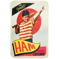 thumbnail image 5 of The Sandlot Ham Porter Soft Plush Fleece Throw Blanket 45" x 60", 5 of 6