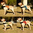 thumbnail image 3 of Dog Harness No Pull  Walking Pet Harness with 2 Metal Rings and Handle Adjustable Reflective Breathable Oxford Soft Vest Easy Control Front Clip Harness Outdoor for X-Large Dogs, 3 of 8