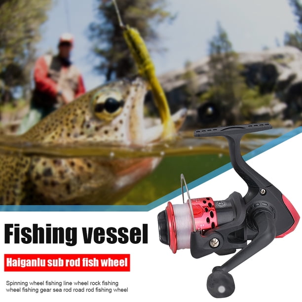 Carrete giratorio 3BB Ndcxsfigh Carrete de pesca en el mar Rojo