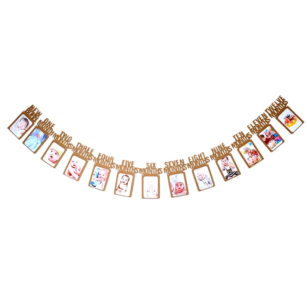 Newborn to 12 Months Baby Photo Banner Monthly Milestone Photograph