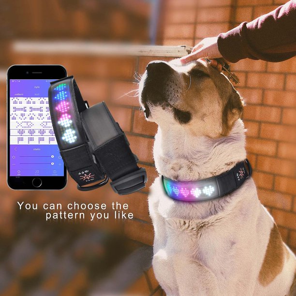 Light Up Dog Collars Led Display Waterproof Adjustable Luminous Dog