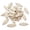 Leaf D (50pcs), variant on MATROOY Blank Leaf Wood Slices Unfinished Natural Wooden Cutouts Hanging Tags Ornaments-Leaf D (50pcs)