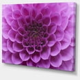 thumbnail image 2 of Grande Fleur et Pétales Violet Clair - Impression sur Toile Florale, 2 of 3