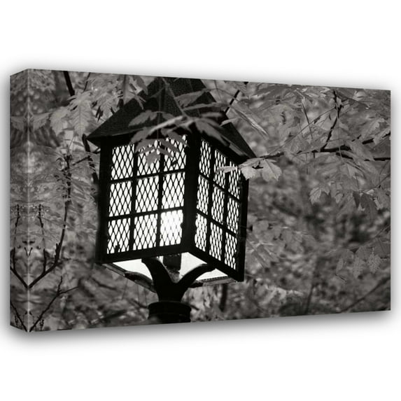 Vitaly Geyman 32x24 Gallery Wrapped Canvas Wall Art Titled - Fall Lighting I BandW