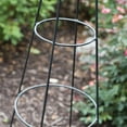 thumbnail image 3 of Border Concepts 72204 Wrought Iron Plant Pillar44; Black, 3 of 6