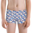 thumbnail image 5 of Yiaed white Skull blue daisy Print Boys' Boxer Briefs Cotton Casual Stretch Comfort Boys Boxers - Kids Boxer Briefs Underwear for Boys (6-18)-XX-Small, 5 of 5