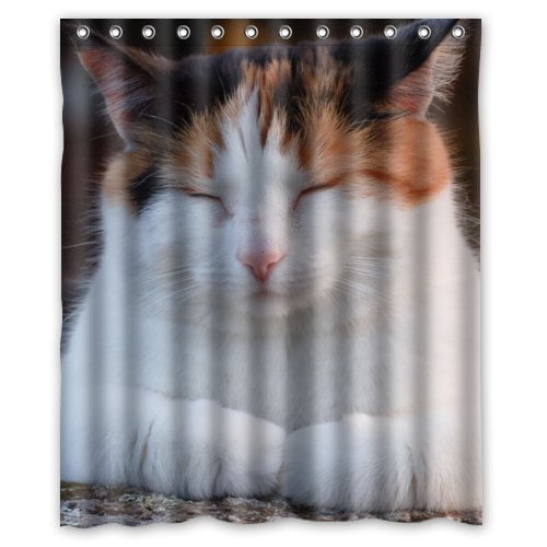 HelloDecor Cats With Shower Curtain Polyester Fabric Bathroom ...