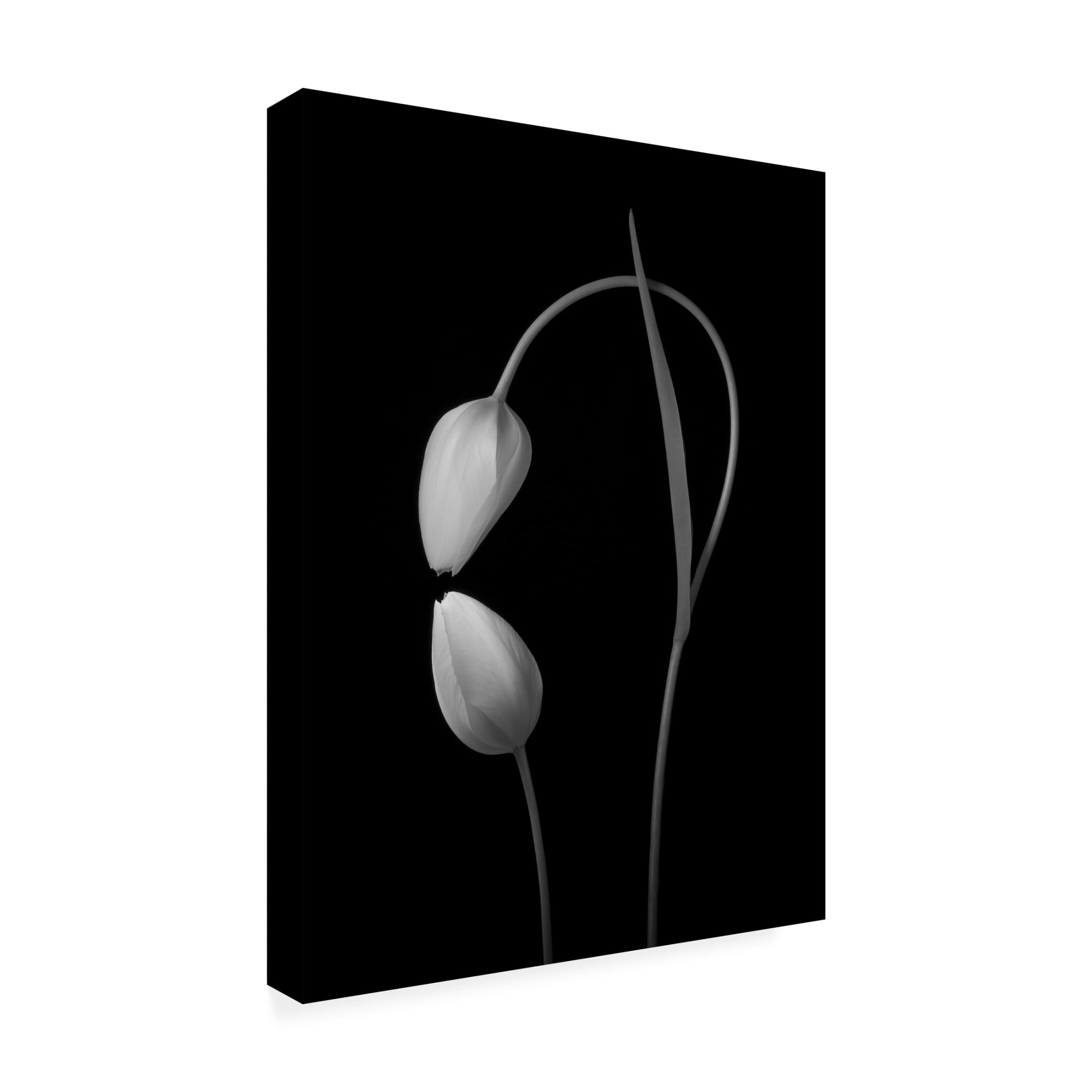 Canvas Wall Art - Tonyxu  'Love' Wall Art for Living Room, Bedroom, or Office Décor by Trademark Fine Art - 14 x 19 Inches