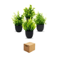 thumbnail image 1 of 4 Macetas Plantas Artificiales Macetas Decorativas Bonsai  base Belug Negro, 1 of 5
