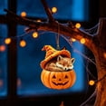 thumbnail image 4 of Hyrbek Halloween Acrylic Hanging Ornament, Animal Pumpkin Decor, Cute Pumpkin Animal Ornament, Fall Autumn Hanging Decoration for Home Window Tree Party, Mini Halloween Decor, #03, 4 of 6