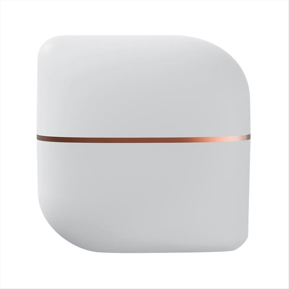 Mini Peine Recargable para Cabello Liso, Portátil, Liso y Rizado, de Doble Propósito, Suave, Inalámbrico.