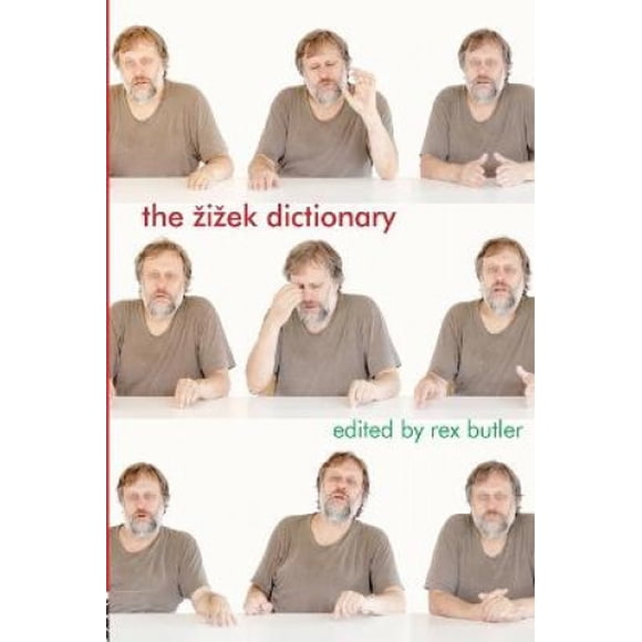 The Zizek Dictionary